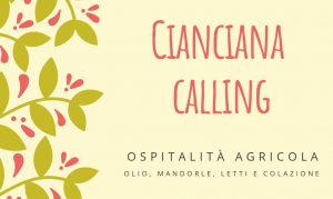 Cianciana calling - Cianciana (Rete FM Sicilia)